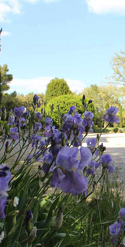 parc arboré gite de charme uzes occitanie